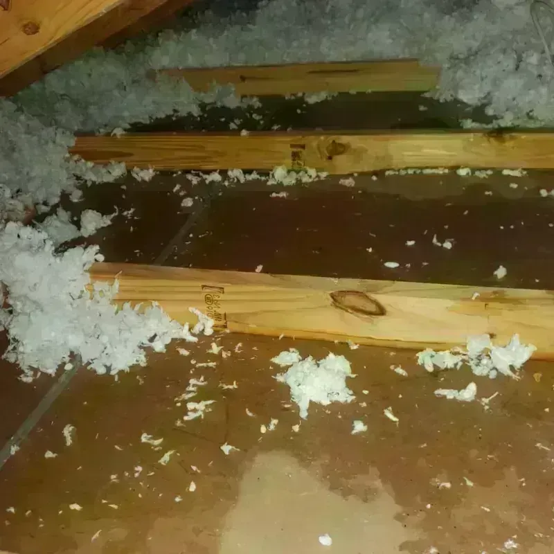 Attic Water Damage in Calvert, TX