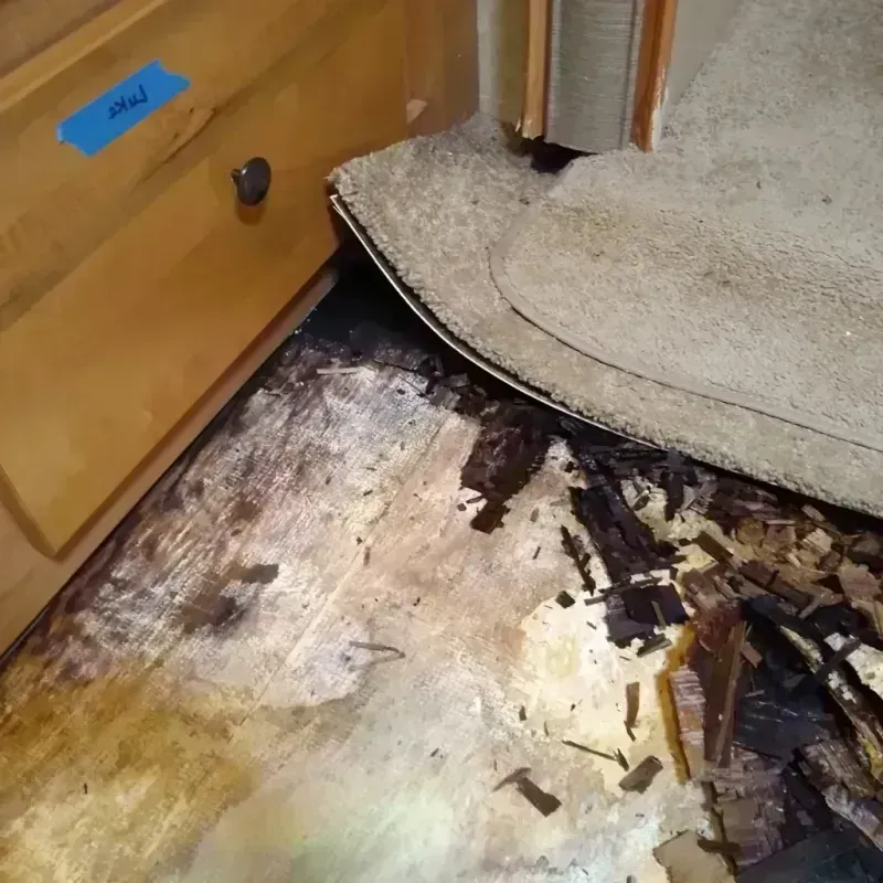 Wood Floor Water Damage in Calvert, TX